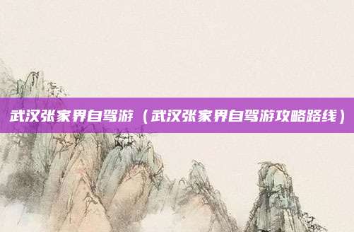 武汉张家界自驾游(武汉张家界自驾游攻略路线)