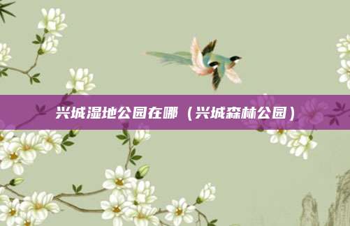 兴城湿地公园在哪（兴城森林公园）
