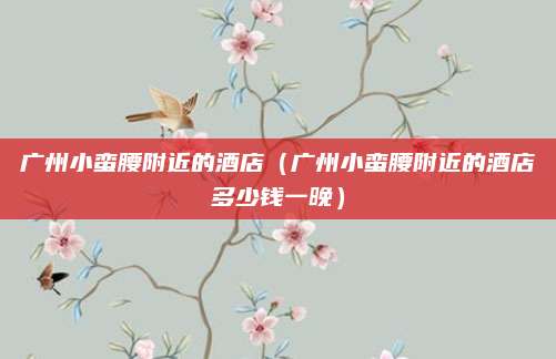 广州小蛮腰附近的酒店(广州小蛮腰附近的酒店多少钱一晚)
