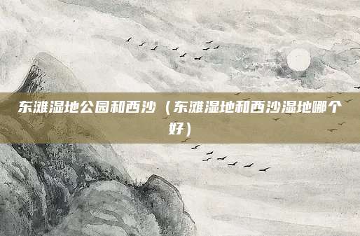 东滩湿地公园和西沙(东滩湿地和西沙湿地哪个好)