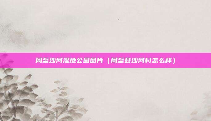 周至沙河湿地公园图片(周至县沙河村怎么样)