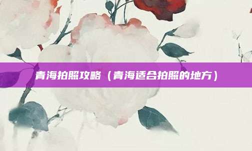 青海拍照攻略(青海适合拍照的地方)