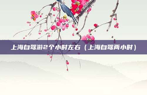 上海自驾游2个小时左右(上海自驾两小时)