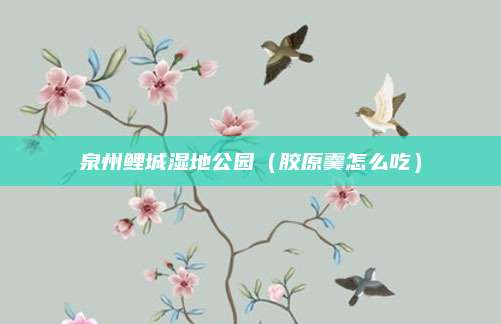 泉州鲤城湿地公园(胶原羹怎么吃)